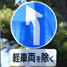 異形矢印標識(指定方向外進行禁止)。静岡県伊東市にある。