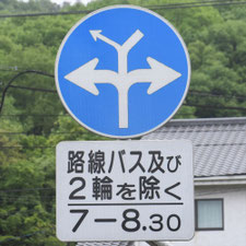 異形矢印標識(指定方向外進行禁止)。岡山県笠岡市にある。