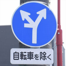 異形矢印標識(指定方向外進行禁止)。広島県広島市にある。