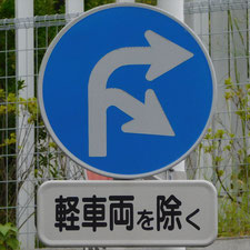 異形矢印標識(指定方向外進行禁止)。静岡県浜松市にある。