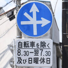 異形矢印標識(指定方向外進行禁止)。広島県広島市にある。