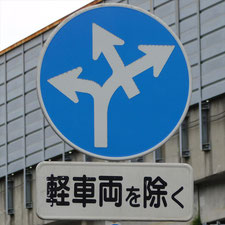 異形矢印標識(指定方向外進行禁止)。静岡県沼津市にある。