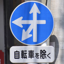 異形矢印標識(指定方向外進行禁止)。東京都中野区にある。