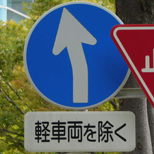 異形矢印標識(指定方向外進行禁止)。静岡県浜松市にある。