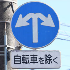 異形矢印標識(指定方向外進行禁止)。東京都世田谷区にある。