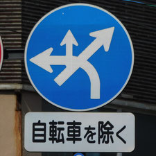 異形矢印標識(指定方向外進行禁止)。岡山県岡山市北区にある。
