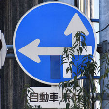 異形矢印標識(指定方向外進行禁止)。長野県諏訪市にある。