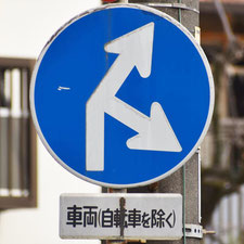 異形矢印標識(指定方向外進行禁止)。広島県広島市にある。