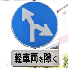 異形矢印標識(指定方向外進行禁止)。静岡県焼津市にある。