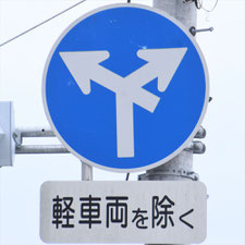 異形矢印標識(指定方向外進行禁止)。静岡県焼津市にある。