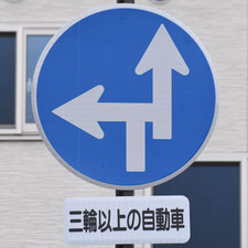 異形矢印標識(指定方向外進行禁止)。長野県長野市にある。