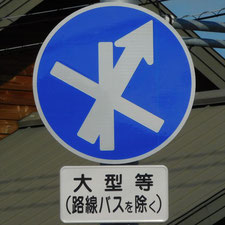 異形矢印標識(指定方向外進行禁止)。静岡県伊豆市にある。