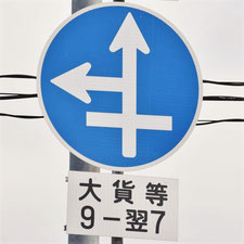 異形矢印標識(指定方向外進行禁止)。広島県広島市にある。