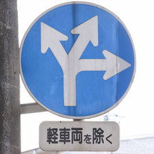 異形矢印標識(指定方向外進行禁止)。静岡県焼津市にある。