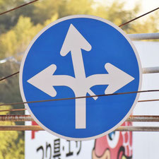 異形矢印標識(指定方向外進行禁止)。広島県広島市にある。