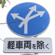 異形矢印標識(指定方向外進行禁止)。静岡県富士宮市にある。