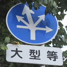 異形矢印標識(指定方向外進行禁止)。新潟県加茂市にある。
