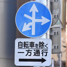 異形矢印標識(指定方向外進行禁止)。東京都豊島区にある。