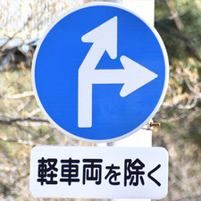 異形矢印標識(指定方向外進行禁止)。静岡県伊東市にある。