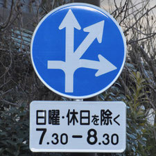 異形矢印標識(指定方向外進行禁止)。神奈川県小田原市にある。