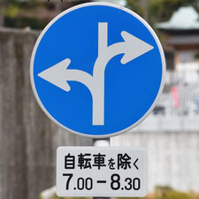 異形矢印標識(指定方向外進行禁止)。広島県広島市にある。