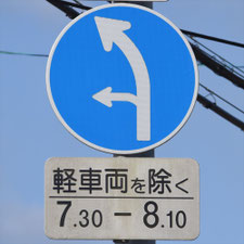 異形矢印標識(指定方向外進行禁止)。山口県美祢市にある。