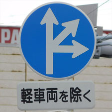 異形矢印標識(指定方向外進行禁止)。静岡県富士宮市にある。