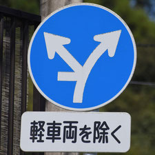 異形矢印標識(指定方向外進行禁止)。愛媛県宇和島市にある。