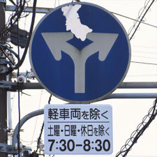 異形矢印標識(指定方向外進行禁止)。静岡県静岡市葵区にある。
