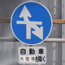 異形矢印標識(指定方向外進行禁止)。愛知県名古屋市にある。