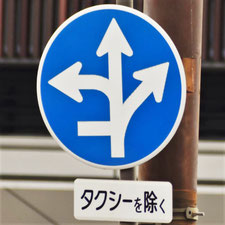 異形矢印標識(指定方向外進行禁止)。広島県広島市にある。