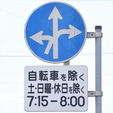 異形矢印標識(指定方向外進行禁止)。茨城県水戸市にある。