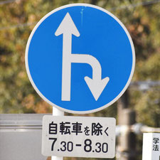 異形矢印標識(指定方向外進行禁止)。広島県広島市にある。