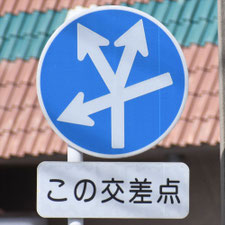 異形矢印標識(指定方向外進行禁止)。岐阜県岐阜市にある。
