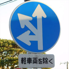 異形矢印標識(指定方向外進行禁止)。静岡県浜松市にある。