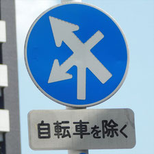 異形矢印標識(指定方向外進行禁止)。岡山県岡山市北区にある。