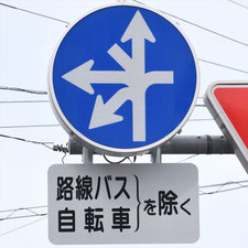 異形矢印標識(指定方向外進行禁止)。東京都清瀬市にある。