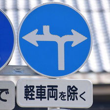 異形矢印標識(指定方向外進行禁止)。静岡県静岡市葵区にある。