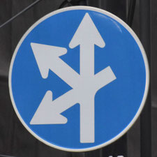 異形矢印標識(指定方向外進行禁止)。東京都文京区にある。