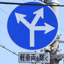 異形矢印標識(指定方向外進行禁止)。静岡県浜松市にある。