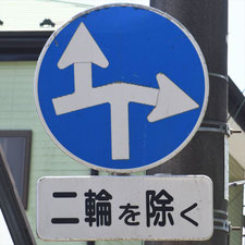 異形矢印標識(指定方向外進行禁止)。千葉県習志野市にある。