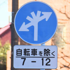 異形矢印標識(指定方向外進行禁止)。東京都大田区にある。