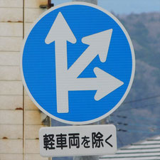異形矢印標識(指定方向外進行禁止)。静岡県富士宮市にある。