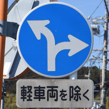 異形矢印標識(指定方向外進行禁止)。静岡県島田市にある。