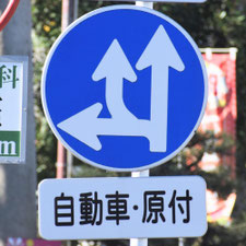 異形矢印標識(指定方向外進行禁止)。新潟県新潟市にある。
