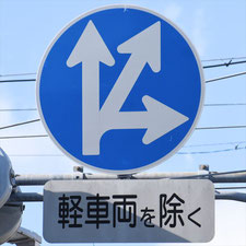 異形矢印標識(指定方向外進行禁止)。静岡県藤枝市にある。