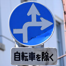 異形矢印標識(指定方向外進行禁止)。茨城県古河市にある。