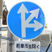 異形矢印標識(指定方向外進行禁止)。静岡県浜松市にある。