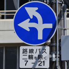 異形矢印標識(指定方向外進行禁止)。栃木県足利市にある。
