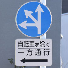 異形矢印標識(指定方向外進行禁止)。東京都目黒区にある。